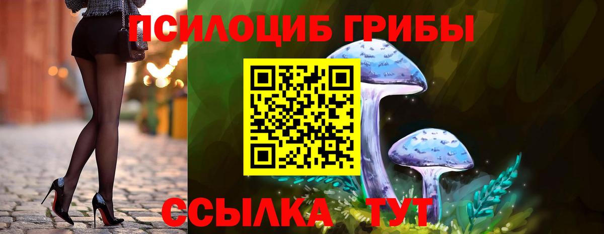 Псилоцибиновые грибы GOLDEN TEACHER Каспийск